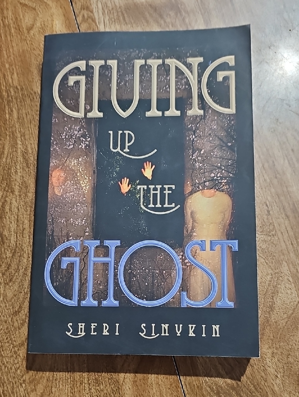 Giving Up the Ghost by Sheri Sinykin - Black & Blue Cover